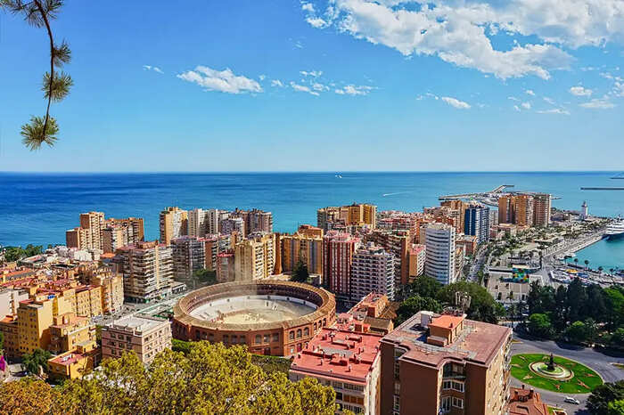 malaga